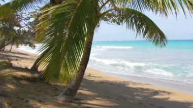 mükemmel caribbean beach