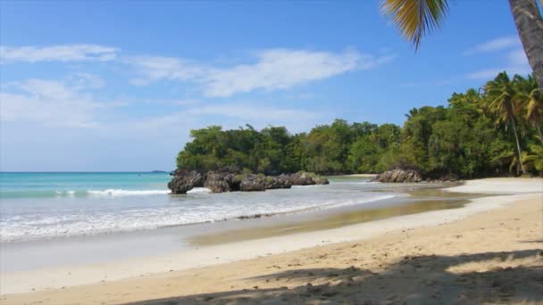 Perfekter karibischer Strand — Stockvideo