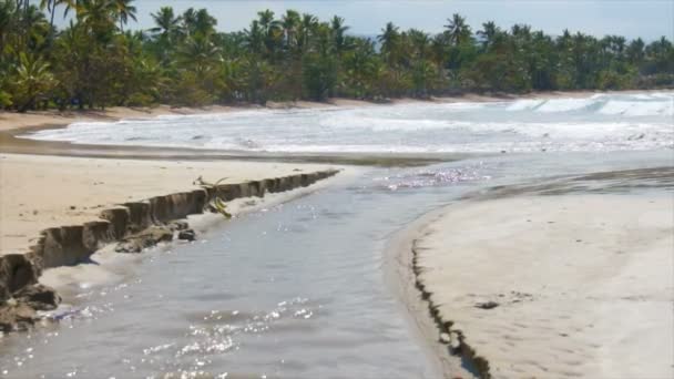 Playa del Caribe — Vídeos de Stock