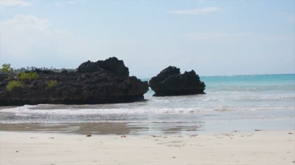 Natural caribbean beach — Stock Video