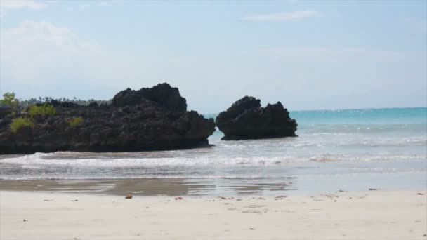 Praia natural do caribe — Vídeo de Stock