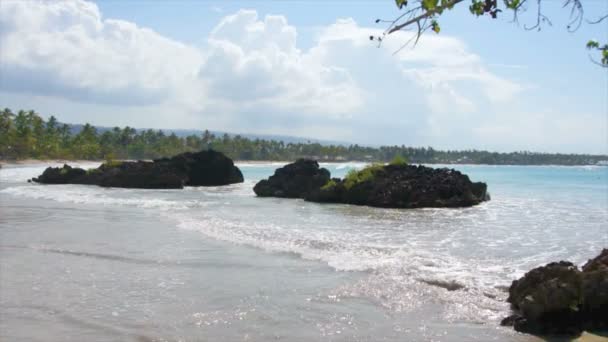 Naturliga caribbean beach — Stockvideo