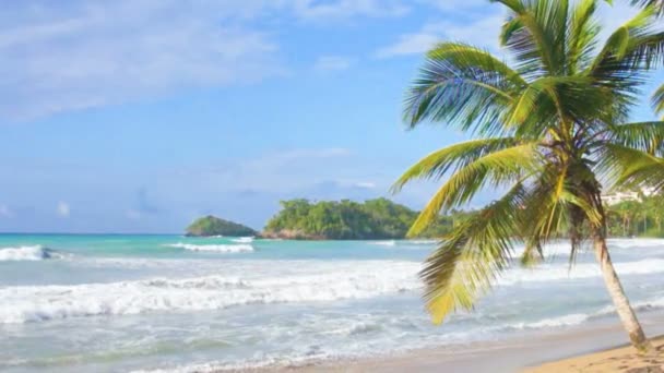 Perfekta caribbean beach — Stockvideo