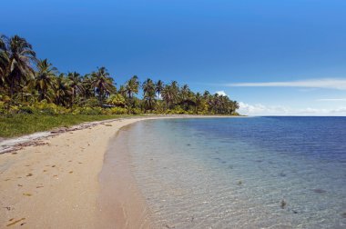 doğal caribbean beach