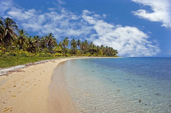 Perfekt tropisk strand — Stockfoto