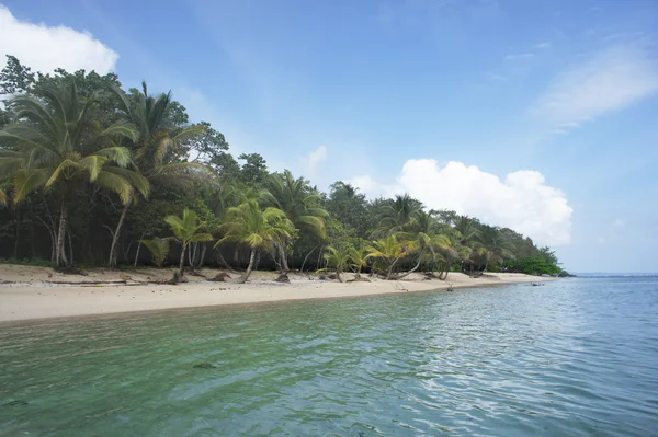 Perfect caribbean beach — Stock Photo, Image