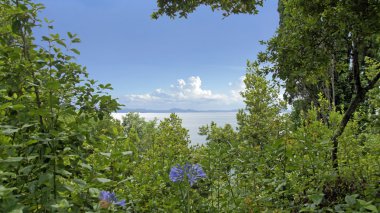 Yunanistan bitkilerden