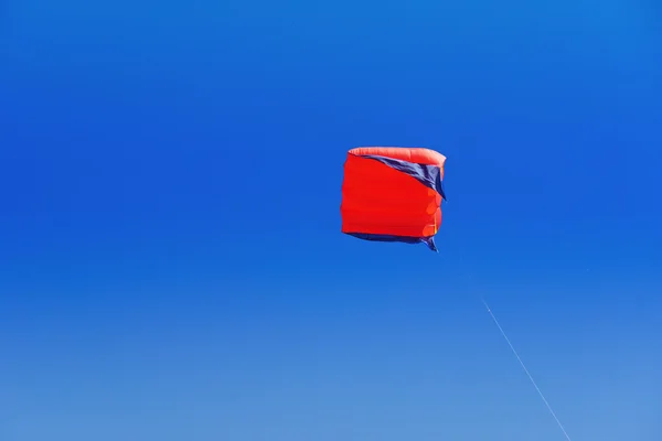 Kite flying — Stockfoto