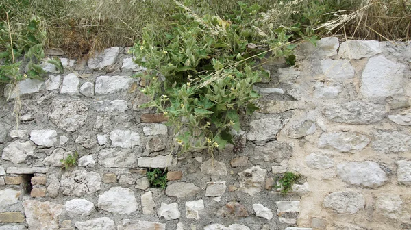 Pedra calcária grega — Fotografia de Stock