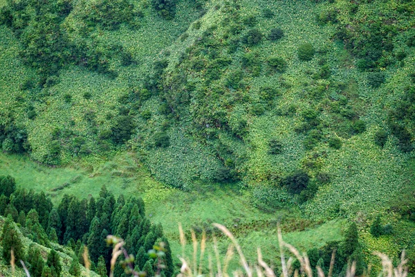 Malerische Grüne Berglandschaft Auf Den Azoren Inseln — Stockfoto