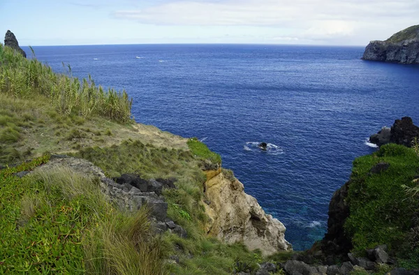 Grüne Landschaft Auf Der Azoren Insel Sao Miguel — Stockfoto