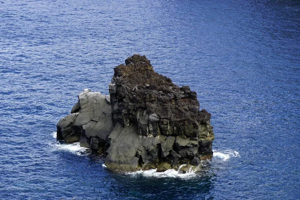 Grov Vild Nord Kust Azores Sao Miguel — Stockfoto