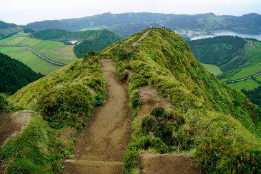 Azores Adası Sao Miguel 'deki cidade göllerinde çamurlu bir yol.