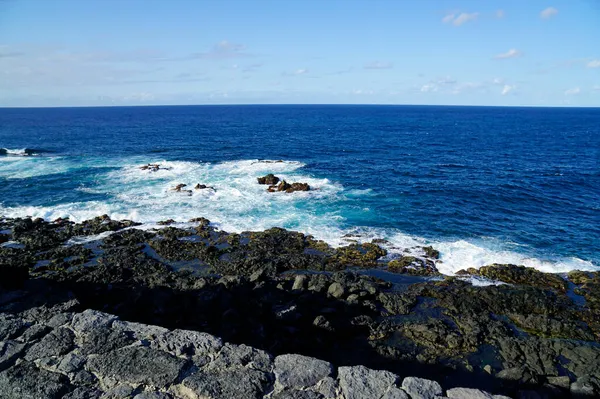 Grov Vild Nord Kust Azores Sao Miguel — Stockfoto