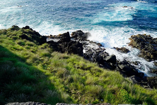 アゾレス諸島の緑の風景 Sao Miguel — ストック写真