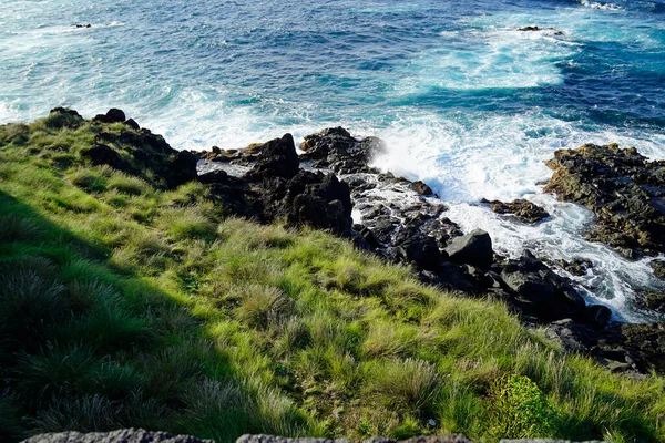 Zöld Táj Azori Szigeteken Sao Miguel — Stock Fotó