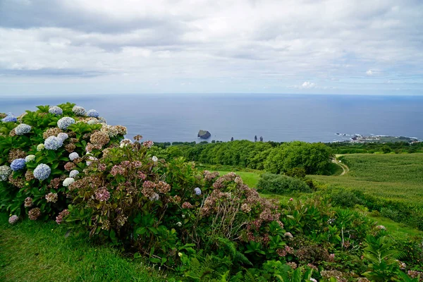 Openbare Straat Het Azores Eiland Sao Miguel Stockfoto