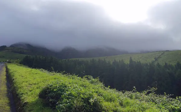 Verde Paisaje Exótico Las Islas Las Azores — Foto de Stock