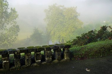 Sao Miguel Adası 'ndaki eski köprüden.
