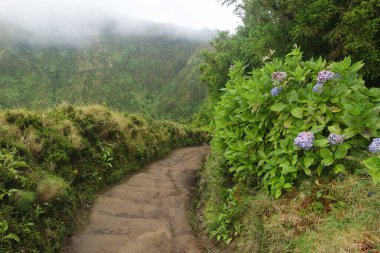 Azores Adası Sao Miguel 'deki cidade göllerinde çamurlu bir yol.
