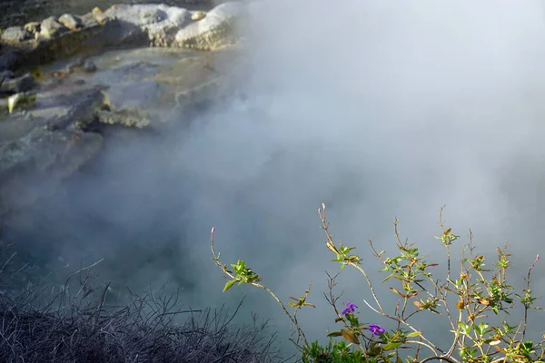 炉内の川の上で熱い火山蒸気が — ストック写真