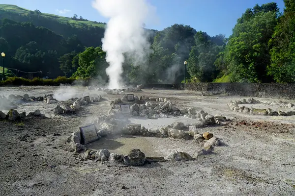 Geotermiskt Värmefält Som Används För Matlagning Furner — Stockfoto