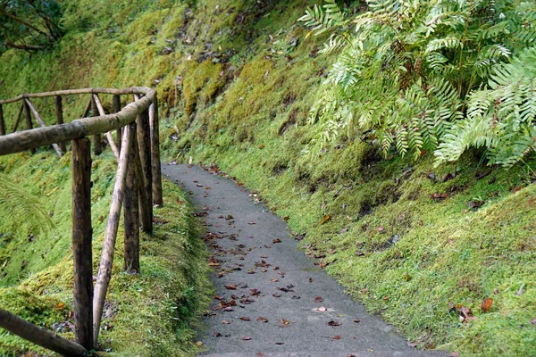 Muddy Hiking Trails Azoresisland Sao Miguel — Stock Photo, Image