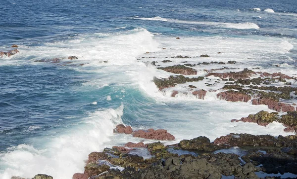 Drsné Divoké Nord Pobřeží Azores Ostrov Sao Miguel — Stock fotografie