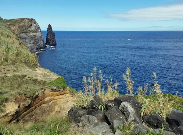 Groen Landschap Het Eiland Azores Sao Miguel — Stockfoto