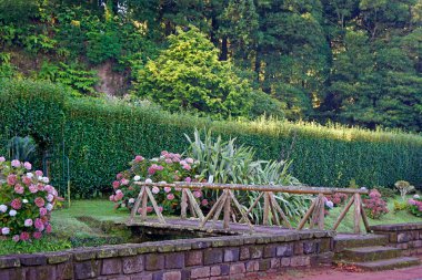 Azerbaycan adalarında yeşil egzotik manzaralar