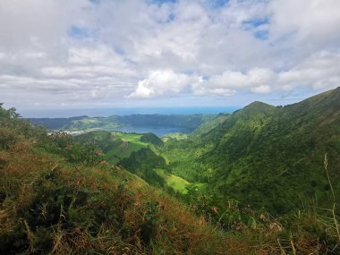 Avor adalarında vahşi doğa 