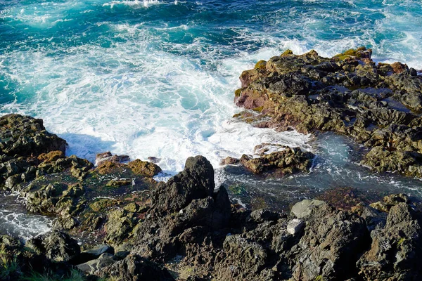 Áspera Costa Nord Salvaje Azores Isla Sao Miguel —  Fotos de Stock