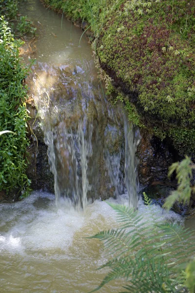 Petite Cascade Avec Cascades Dans Fournas Sur Les Açores — Photo