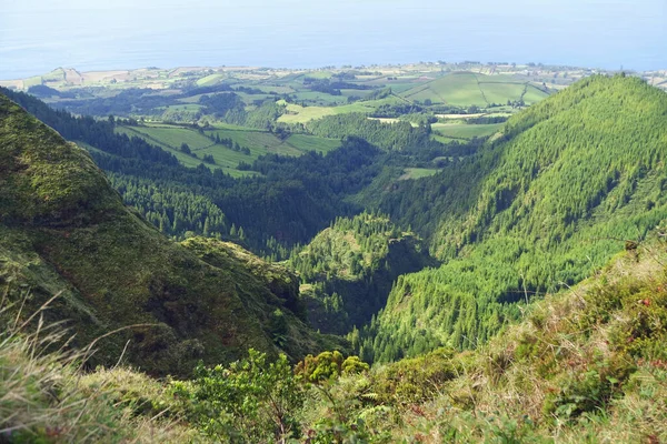 Мальовничий Зелений Гірський Пейзаж Азорах — стокове фото