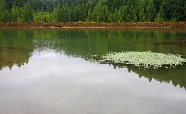 亚速尔群岛上的绿金丝雀泻湖 — 图库照片