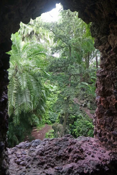 Groto Azores Ostrov Sao Miguel — Stock fotografie