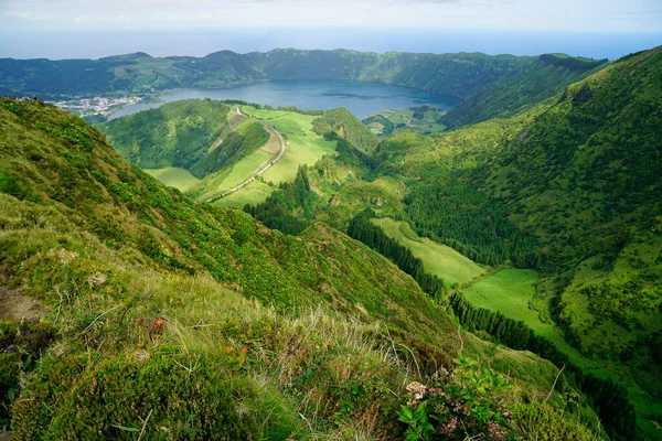 Wilde Natuur Azores Eilanden Rechtenvrije Stockafbeeldingen