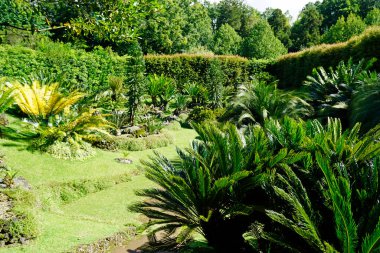 Azerbaycan adalarında yeşil egzotik manzaralar