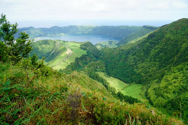 Groene Natuur Prachtige Azores Eilanden — Stockfoto