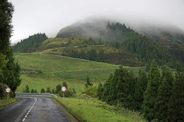 Strada Pubblica Sulle Azzorre Isola Sao Miguel — Foto Stock