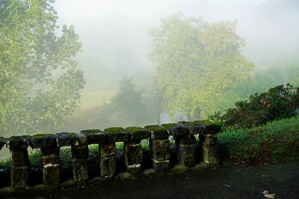 Staré Zarostlé Mostní Zábradlí Ostrově Sao Miguel — Stock fotografie