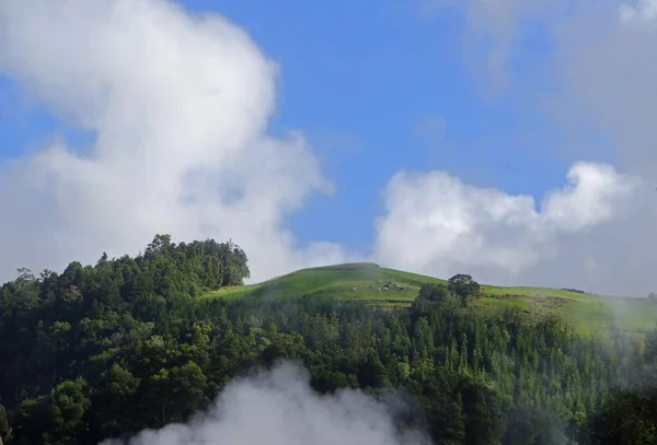 Heißer Vulkanischer Dampf Auf Den Azoren Inseln — Stockfoto