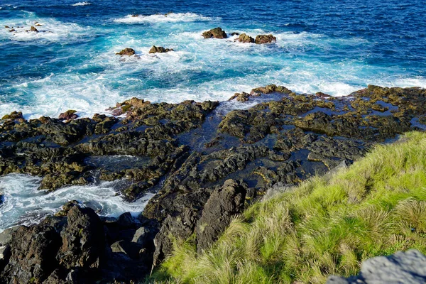 Surowe Dzikie Północne Wybrzeże Azorów Wyspa Sao Miguel — Zdjęcie stockowe