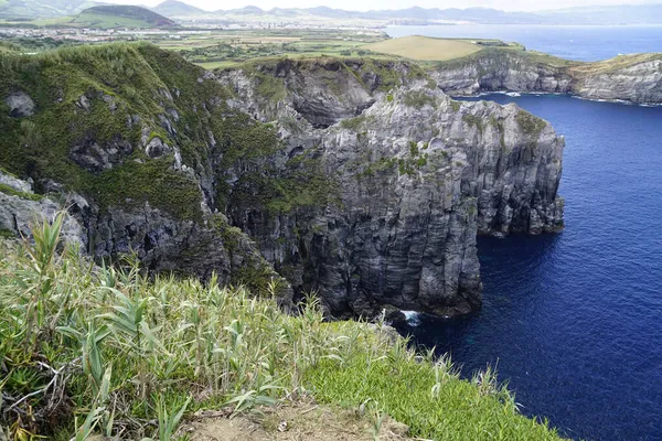 Grüne Landschaft Auf Der Azoren Insel Sao Miguel — Stockfoto