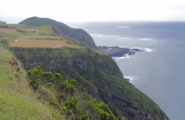 Grüne Landschaft Auf Der Azoren Insel Sao Miguel — Stockfoto