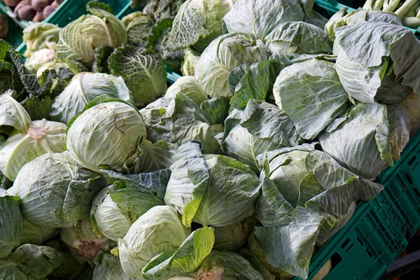 Fresh Cabbage Market Azores — Stock Photo, Image