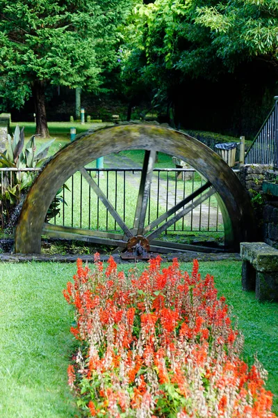 Azores Adası 'ndaki su değirmeni Sao Miguel.