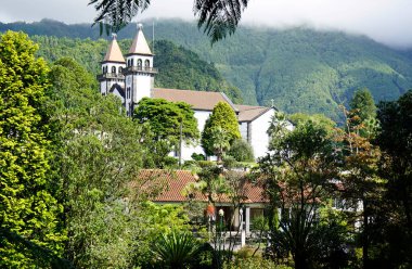 Güzel açore adalarında yeşil doğa