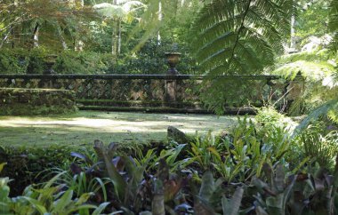 Sao Miguel Adası 'ndaki eski köprüden.