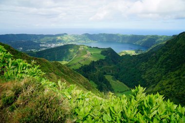 Güzel açore adalarında yeşil doğa